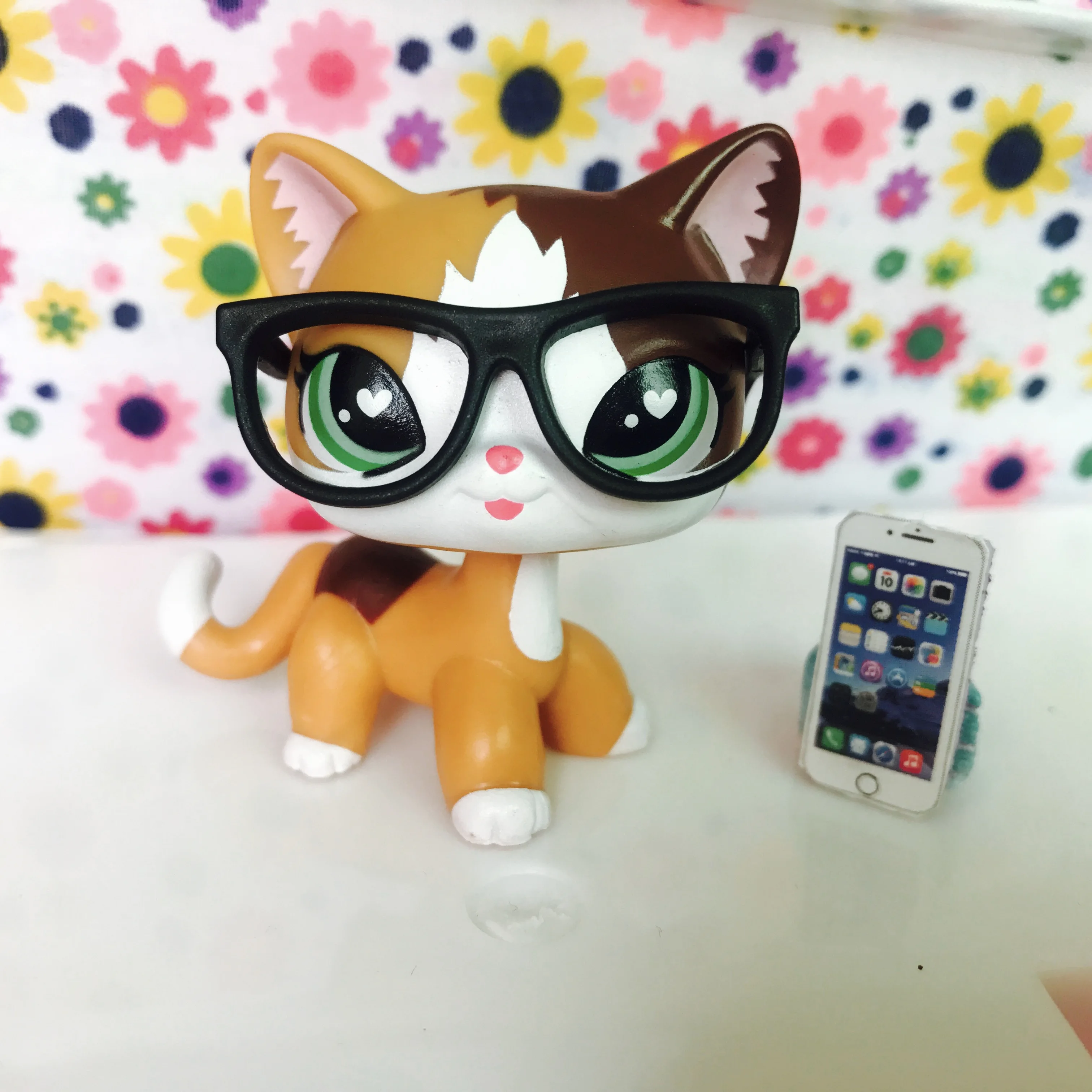 Зоотовары оранжевые белые короткие волосы кошки изготовленные на заказ с