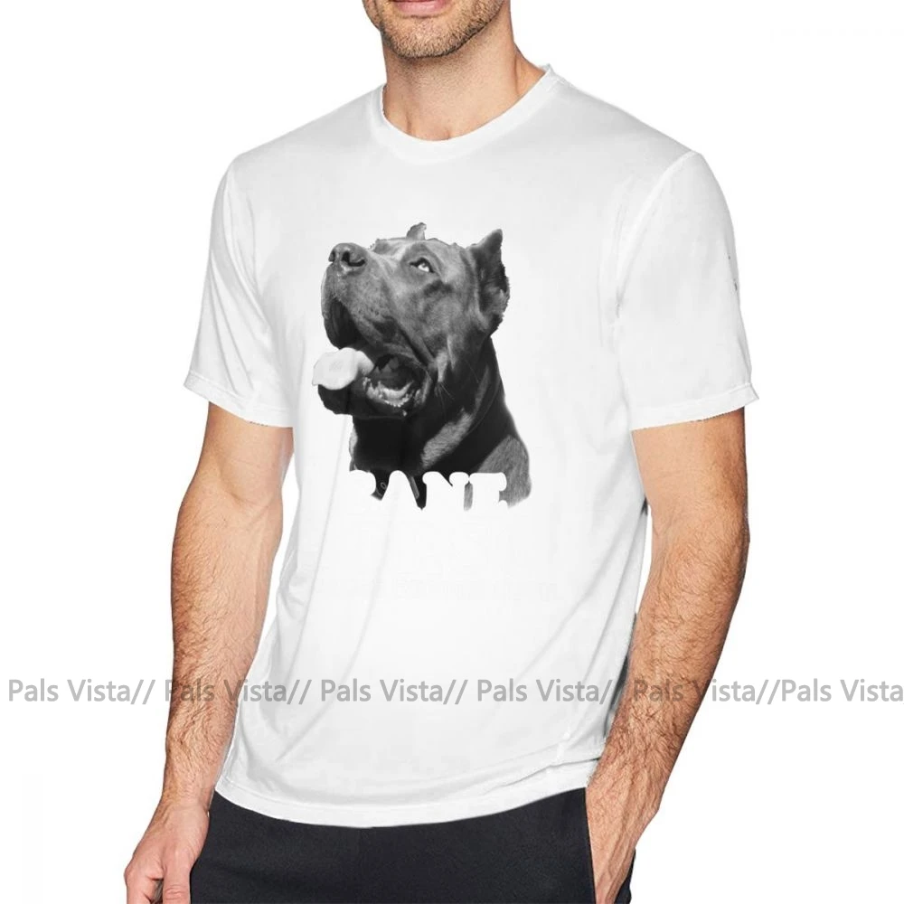 Cane Corso футболка Cane Corso потому что люди футболка с надписью Suck Graphic хлопковая футболка плюс размер Мужская модная футболка с коротким рукавом - Цвет: Белый