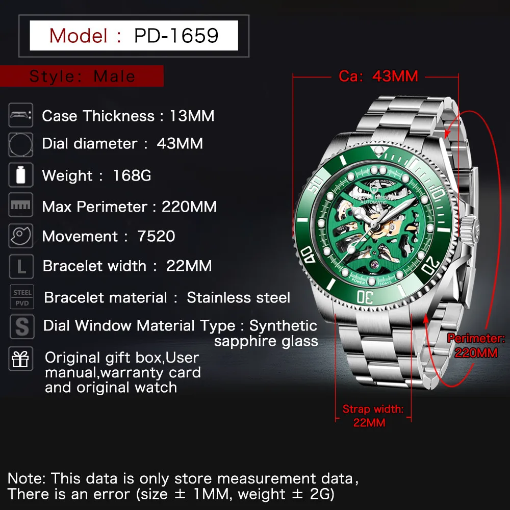 

PAGANI DESIGN Men's Watch Top Luxury Brand 100M Waterproof Skeleton Simple Automatic Mechanical Men Green Watches Reloj Hombre