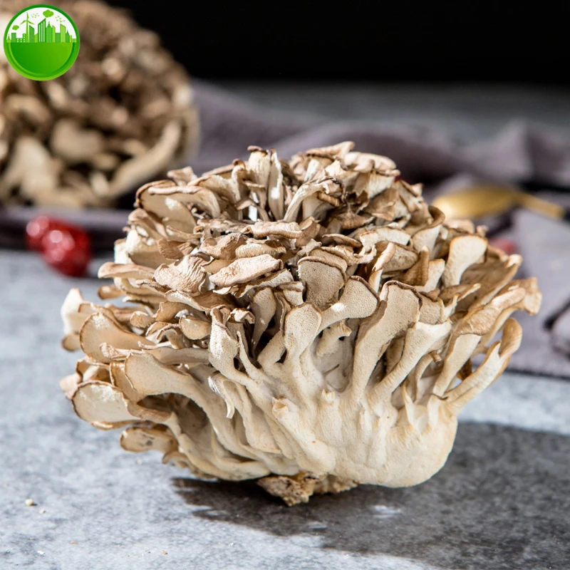 

Dried Maitake Mushroom Chinese Grifola Frondosa Dancing Mushroom Hui Shu Hua Powder