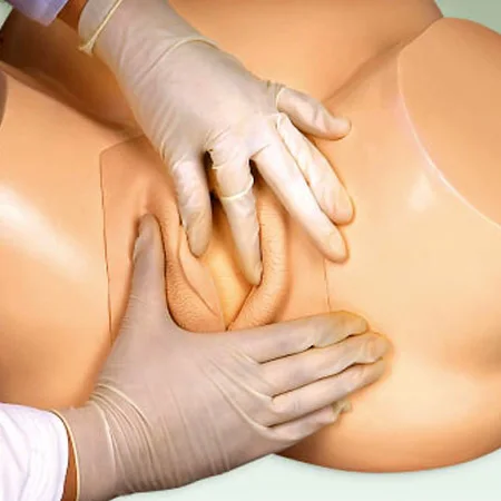 Симулятор обучения акушерству вакуумная доставка демонстрационная модель для