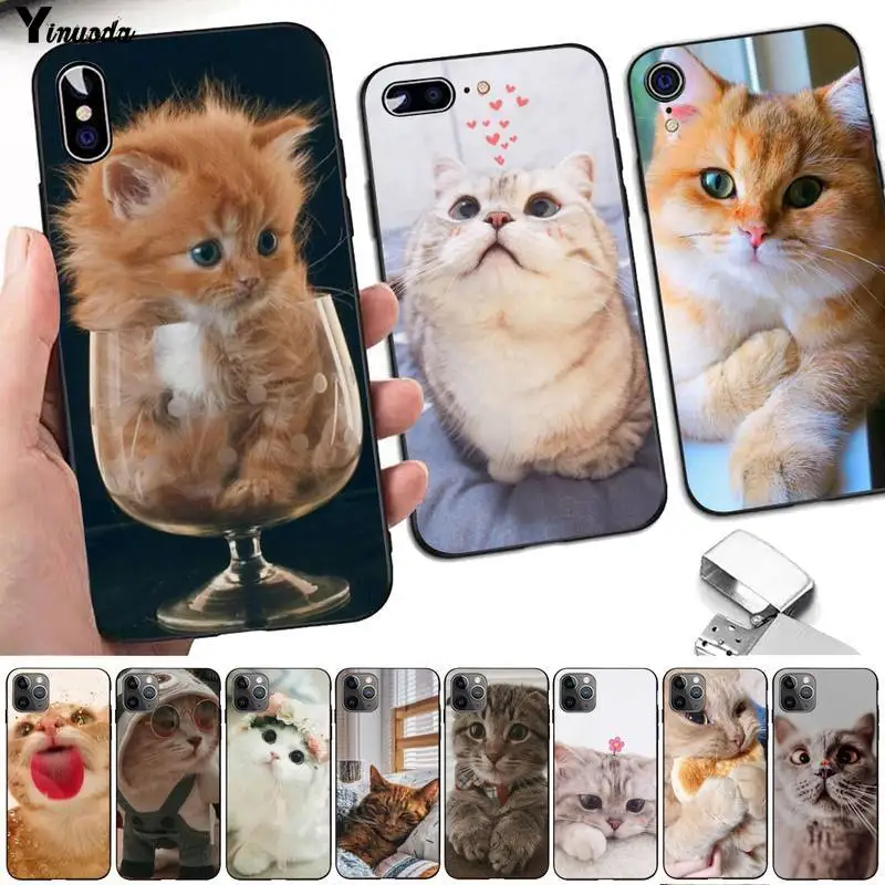 

Cute Cat Kitten black Phone Case Hull for iPhone 13 8 7 6 6S Plus X 5 5S SE 2020 XR 11 pro XS MAX