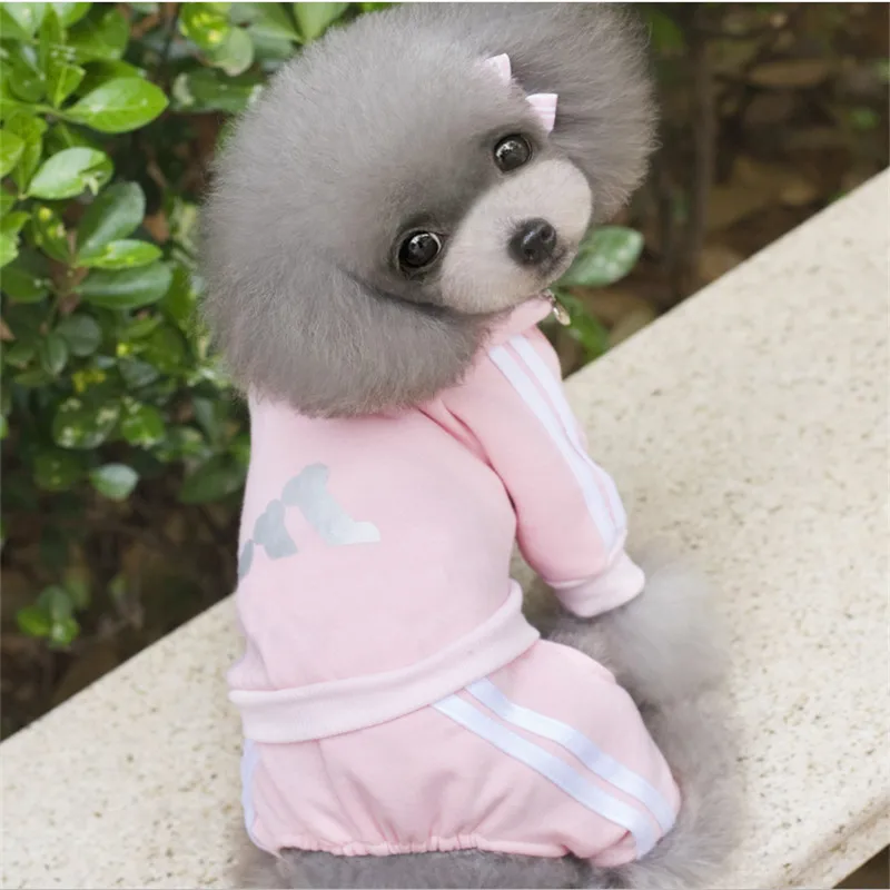 Осенне зимняя теплая одежда для собак со скидкой хлопковая толстовка с четырьмя