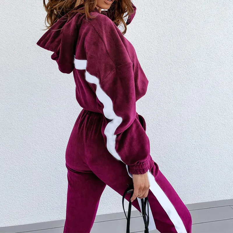 

Velvet Hooded Sweatshirt Long Pant Women Sets High Waist Elastic Track Pants Autumn Winter Loose Short Pullover 2 Pieces Set