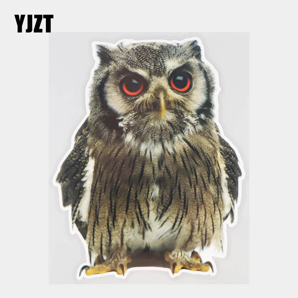 

YJZT 13,3 × 16,8 см, милая маленькая Сова, забавное животное, задняя фотография, индивидуальные автомобильные наклейки 21A-0552