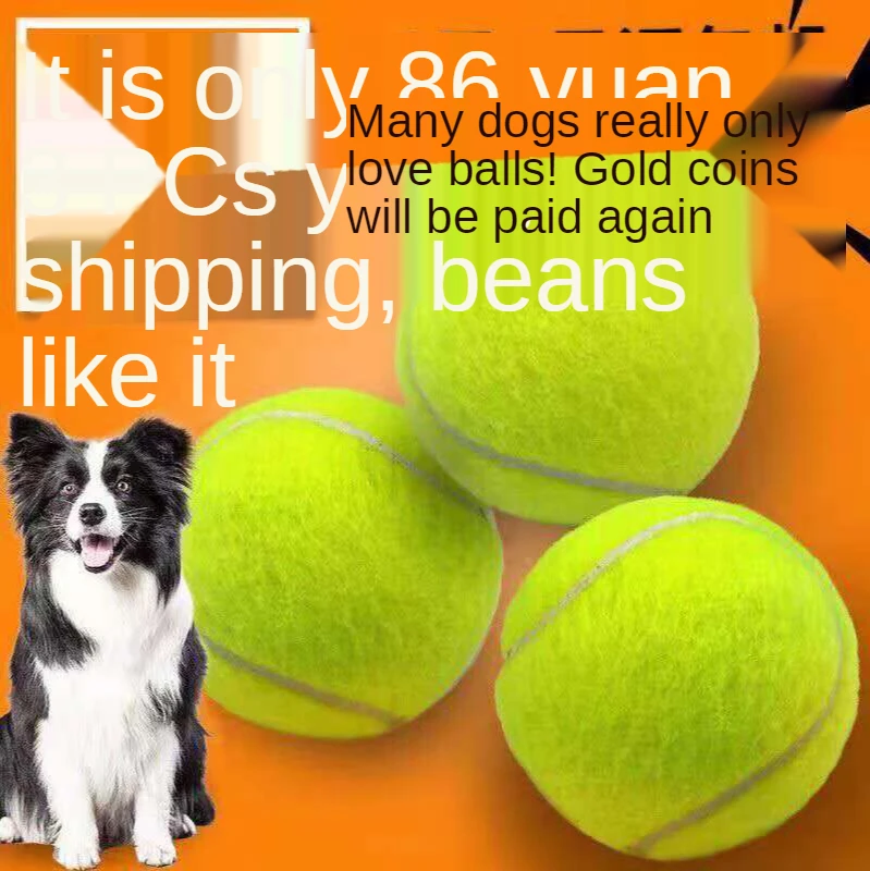 Мяч-мяч для кошек и собак | Дом сад