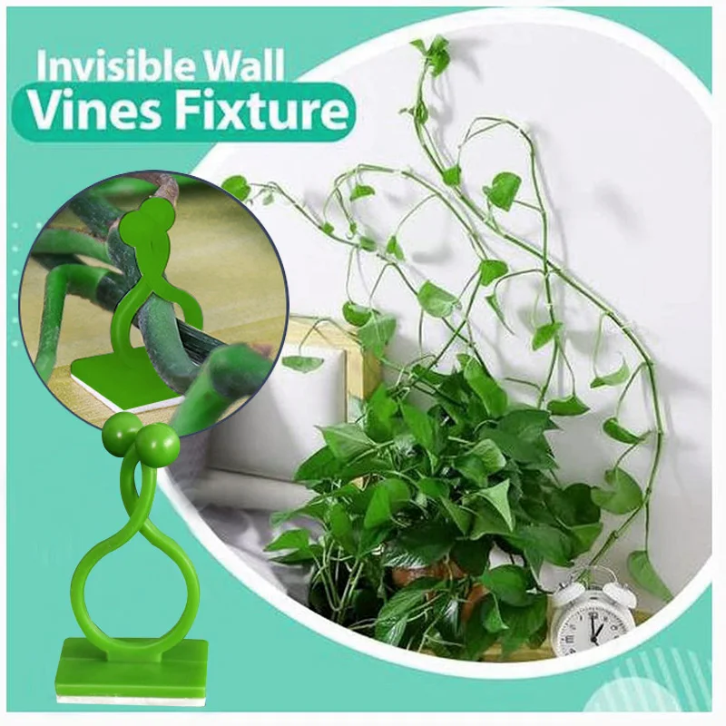 

Hot sale 10/20/50 Pcs Invisible Wall Vines Fixture Plant Climbing Wall Clip Sticky Hook Fixing Clip Holder for Home Dropshipping