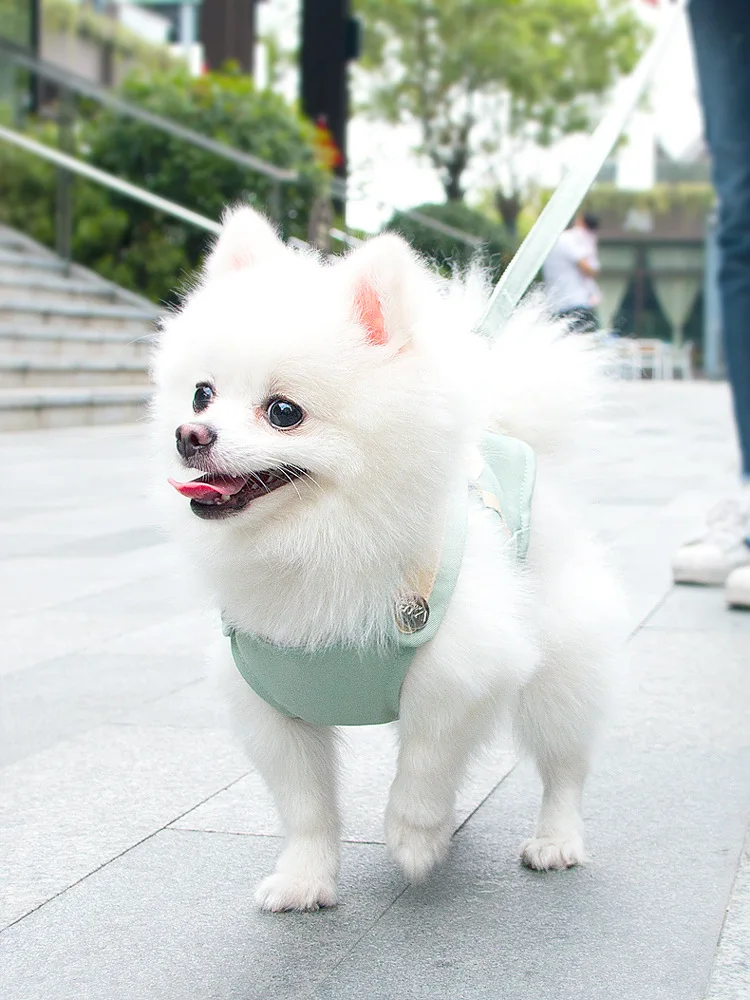 Дышащий поводок для собак кошек набор мягкая сетка щенков и жилет маленьких