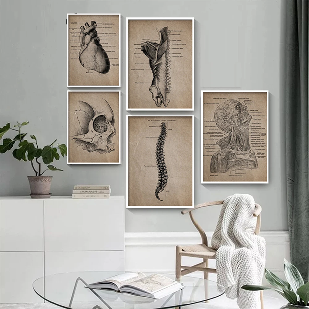 

Abstract Vintage Human Anatomy Skeleton Prints And Posters Anatomical Skull Wall Art Canvas Painting Picture Doctor Office Decor