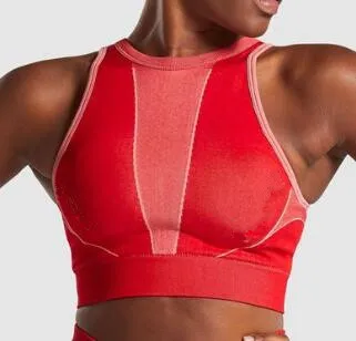 CB1064 red bra Зима Осень Engery Ombre бесшовный комплект для йоги женский спортивный костюм Одежда для спортзала с длинным рукавом для фитнеса укороченный Топ Леггинсы спортивный костюм для йоги - Цвет: CB1064 red bra