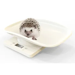 

Mini pet scale 10kg baking kitchen electronic scale tray parcel scale mailing scale food scale coffee F400