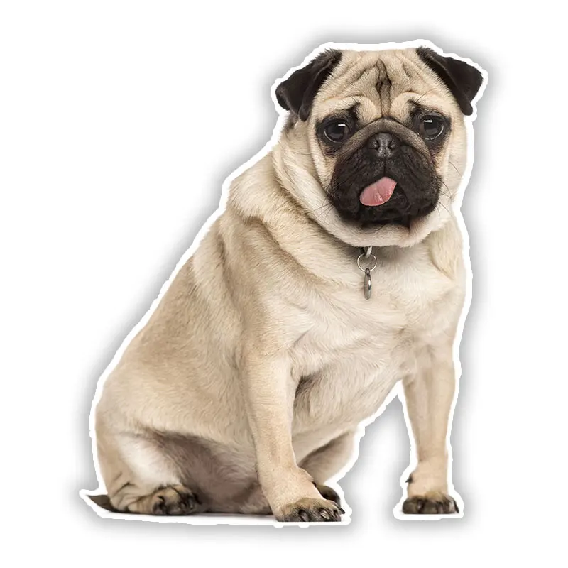 

B0692 # самоклеящаяся наклейка V5 Автомобильная наклейка мопса собака водонепроницаемый автомобильный Декор на бампер заднее окно мотоцикла