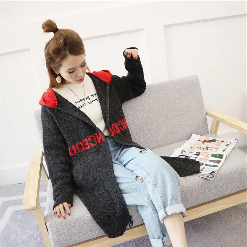 Autumn Hooded Jacket Female Sweater 2019 Long Sleeve Loose Cardigan Women Casual Pocket Zipper Knit Outwear |