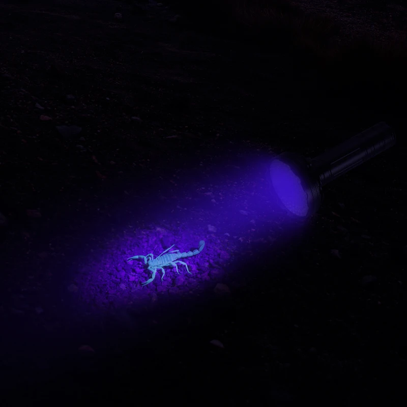 

COBA led UV flashlight fishing torch blacklight 128 bulbs use 6*AA battery waterproof Catch scorpion Money detector lantern