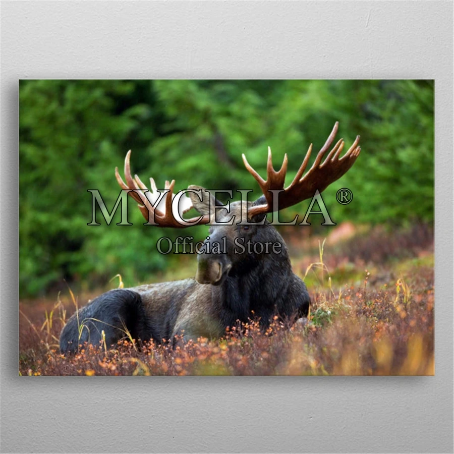 

Full 5D DIY Diamond Painting Bull Moose Animals Diamond Embroidery Cross Stitch Diamond Mosaic Home decoration Supplies Posters