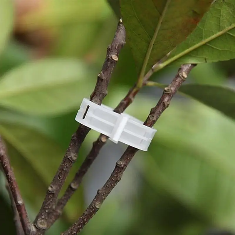 20 штук завод фиксированный рост штырек одежды трансплантат томатный из ротанга