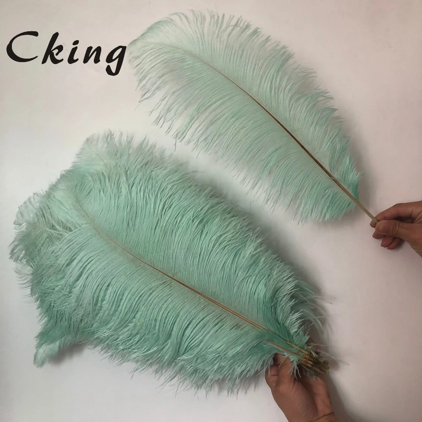 

55-60cm long mint green dyed ostrich feathers plumes natural feather for Carnival Costumes Party Home Wedding Decorations Plumes