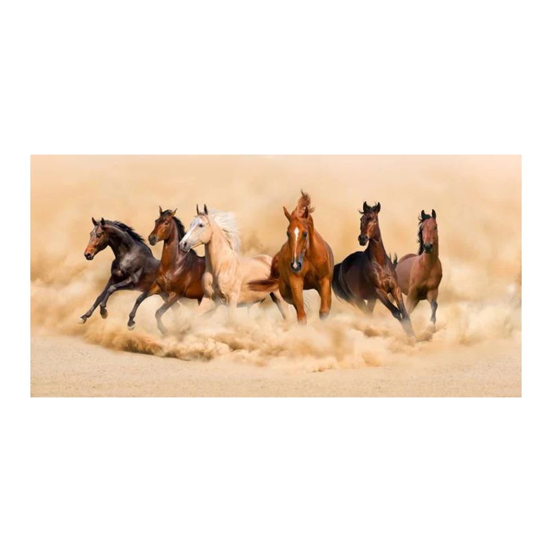 

Six horses galloping Posters And Prints Modern Animals Wall Art Canvas Paintings On The Wall Horse Pictures For Living Room