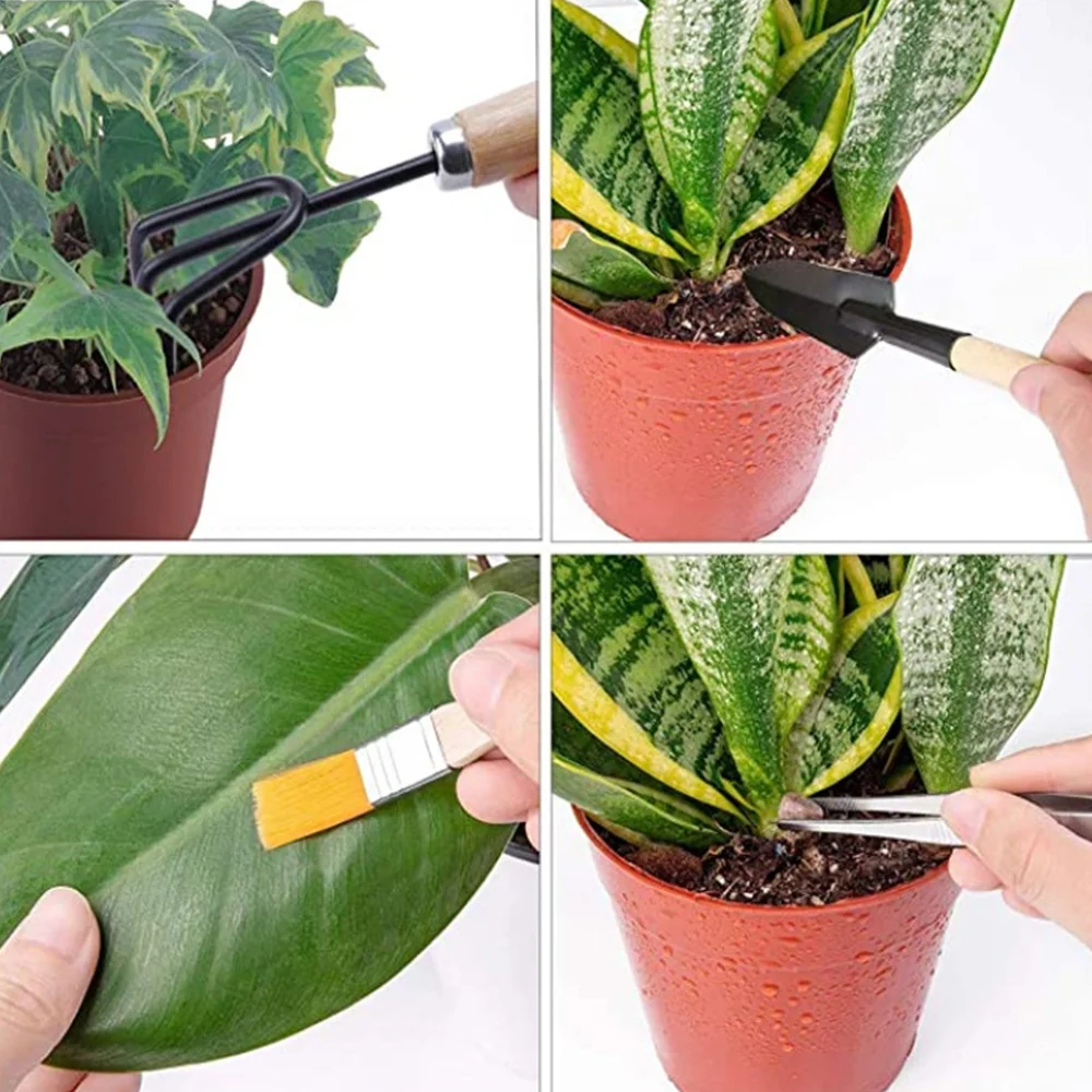 

Succulent Planting Tools Gardening Landscape Potted Tools Flower Planting Set
