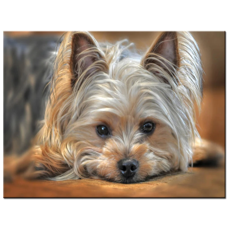 Terrier Dog Diy Алмазная картина 5d алмазная вышивка милая фотография Стразы квадратная