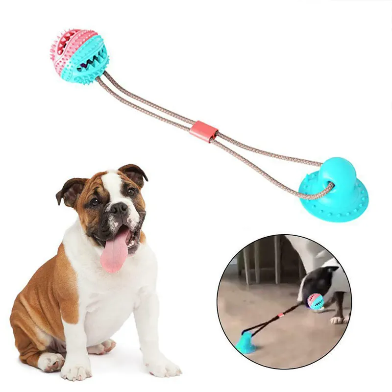 

Pet Dog Molar Chew Self-playing TPR Ball with Suction Cup Teeth Cleaning Pet Supplies AUG889