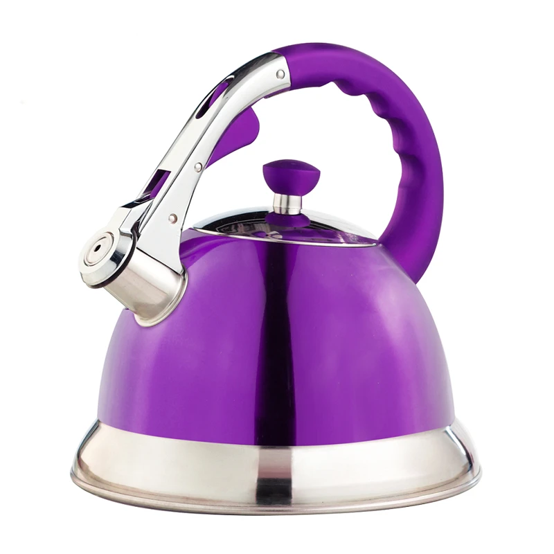 

Hausroland Heat Insulation Handle Kettle Purple Color Hot Water Boiler 3.5L 704F