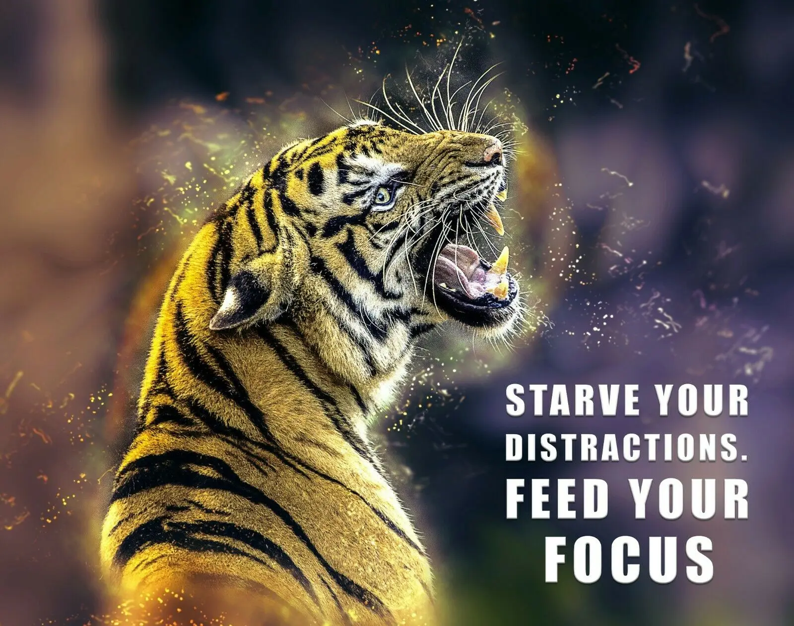 

Тигровый фокус, мотивационное искусство, домашняя комната, искусство, фотография, плакат