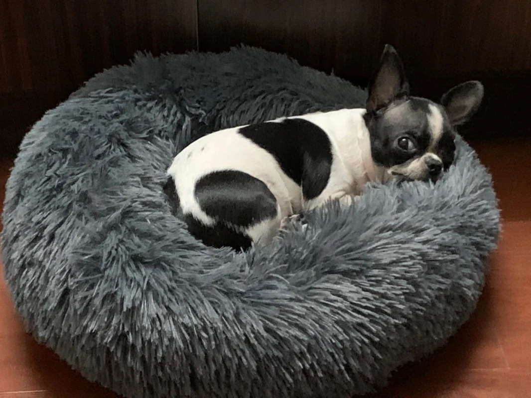 Супер мягкая кровать собаки собачий домик бархатные коврики диван-кровать для