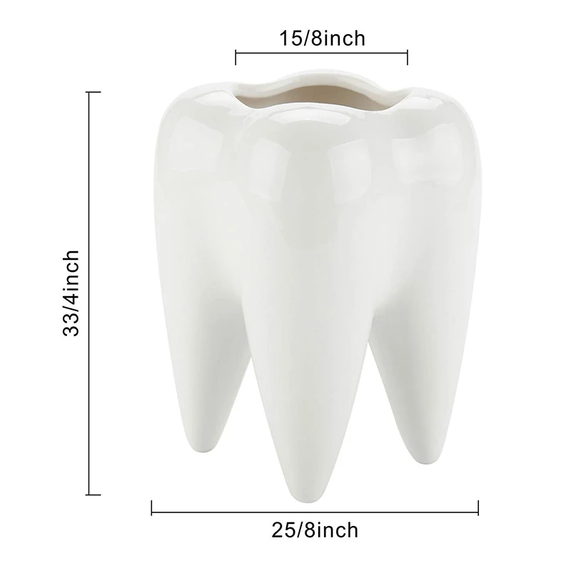 Милый держатель для карандашей в форме зуба белые керамические суккулентные