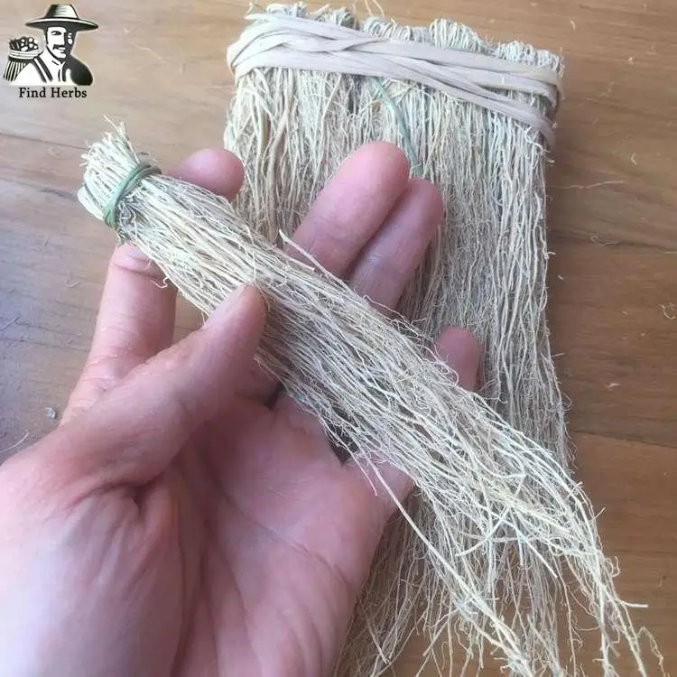 

Yang Gan Cao, Long Xu Cao, Herb For Liver Care Soup