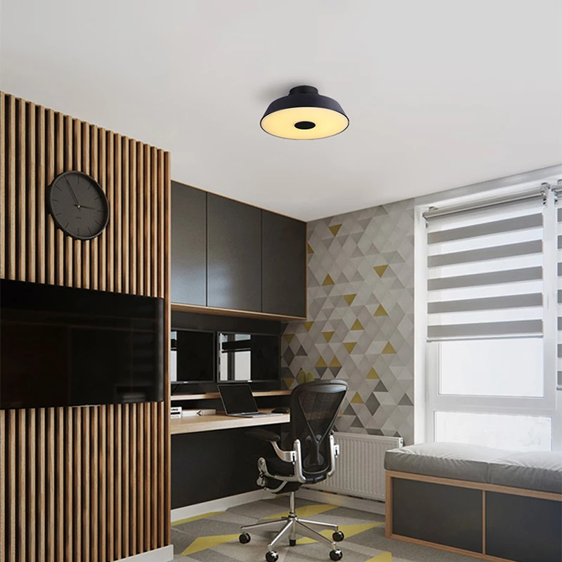 

Nordic minimalist LED ceiling lamp living room bedroom lamp creative round light luxury black lamp