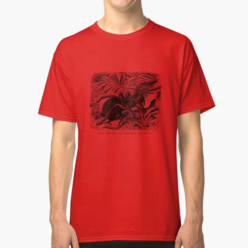 Тарантул футболка паук атака пушистый ползающий|Мужские футболки| |