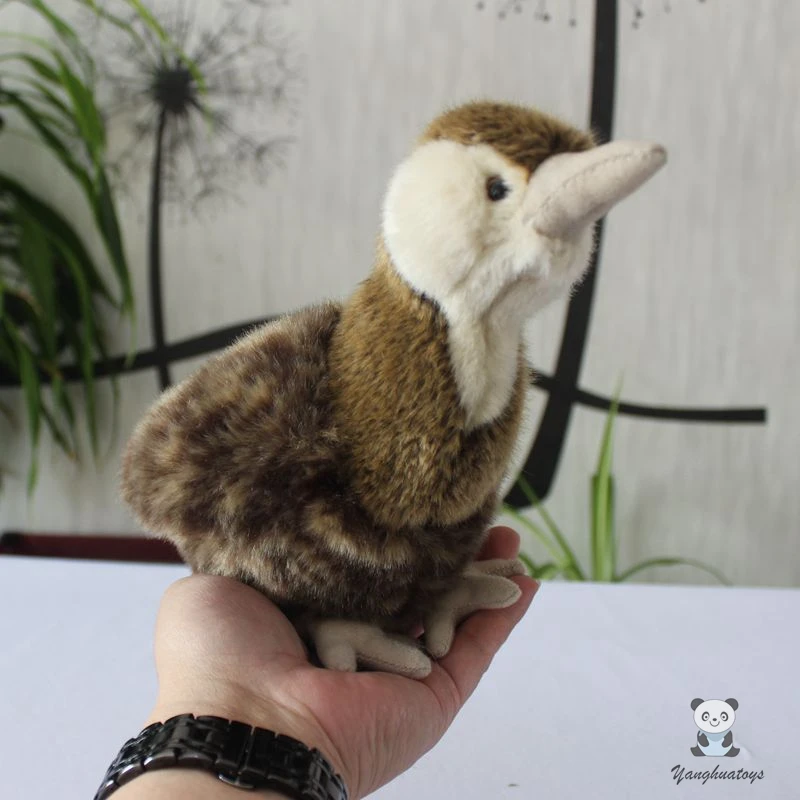 

Cute plush animals toy soft Real life Clapper Rail dolls model Rallus longirostris present holiday gifts toys