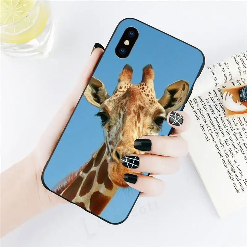 

giraffe cartoon fashion carcasa Phone Case for iPhone 11 12 pro XS MAX 8 7 6 6S Plus X 5S SE 2020 XR
