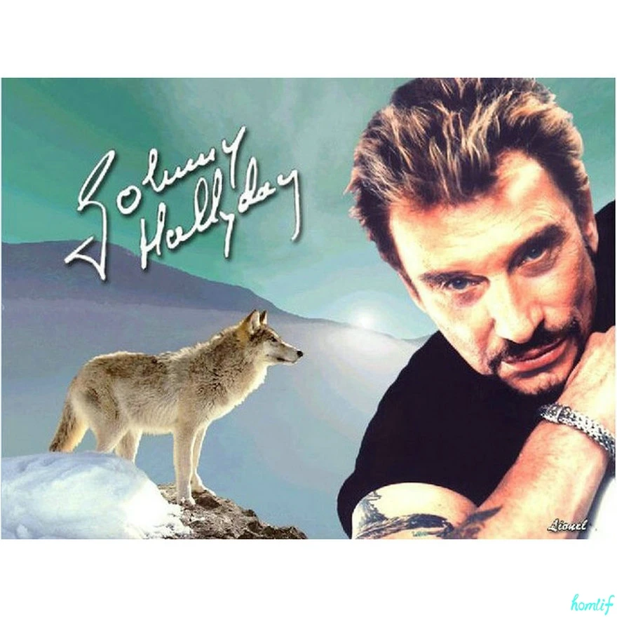 Полный Круглый портрет французского певца Алмазная мозаика рождественские