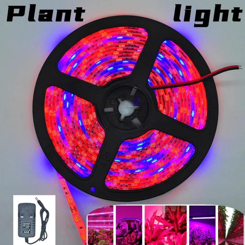 

LED Strip Plant Grow lights 1m 2m 3m Full Spectrum Flower phyto lamp DC 5V Red and Blue Light Bar indoor