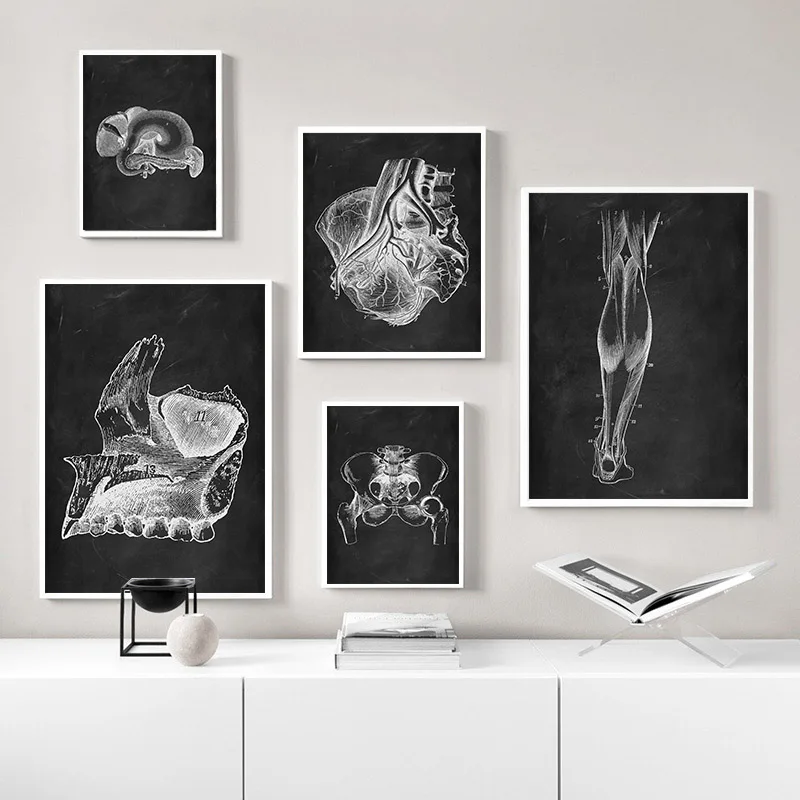 Черно-белая Анатомия человека медицинская настенная Художественная печать