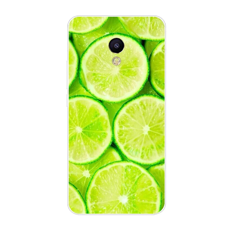 Чехол для телефона Meizu M6 M5 M3 M2 Примечание чехол из мягкого силикона ТПУ с рисунком