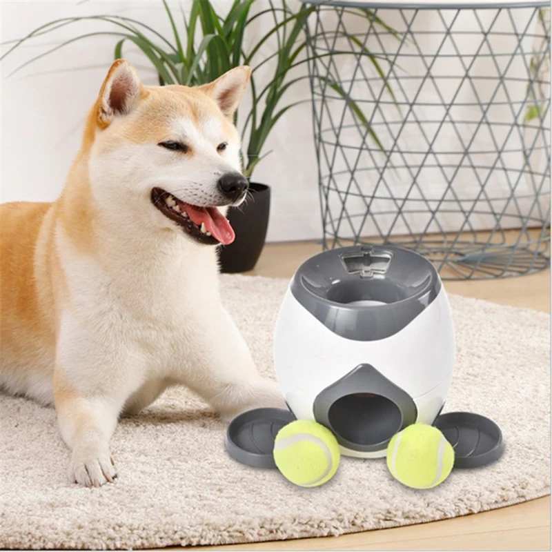 

Pet Products