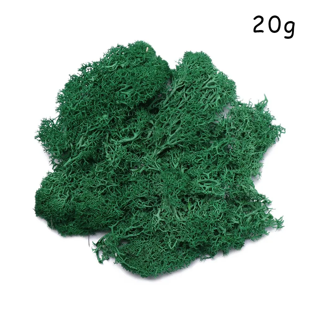 Dark green Микро пейзаж натуральный норвежский олень мох предварительно просушенный искусственный цветок Stamen Свадебные украшения DIY украшения дома - Цвет: Dark green
