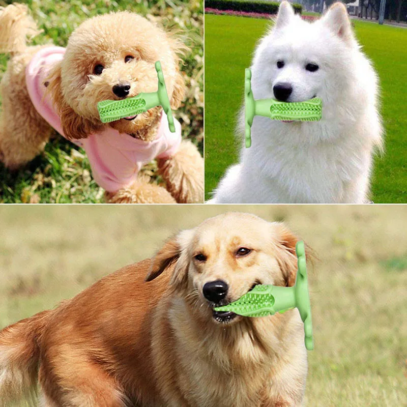 

Popular Toys Stick Brushing Dog Rubber Chew Toys Dog Toothbrush Teeth Cleaning Toy Dog Pet Toothbrushes Pet Dog Supplies Puppy