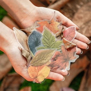 30 шт.лот опавших листьев сад ПЭТ наклейки Скрапбукинг Декоративные стикеры в Корейском стиле Diy дневник альбом ярлыком канцелярских принадлежностей