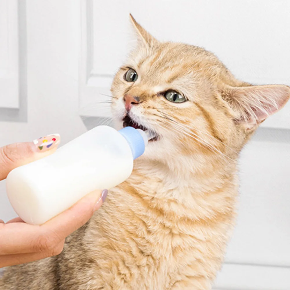 Portable Feeding Bottle Set with Brush Pacifiers Silicone Pet Baby Nursing Dog Cat Water Milk Feeder for Puppy Kitten