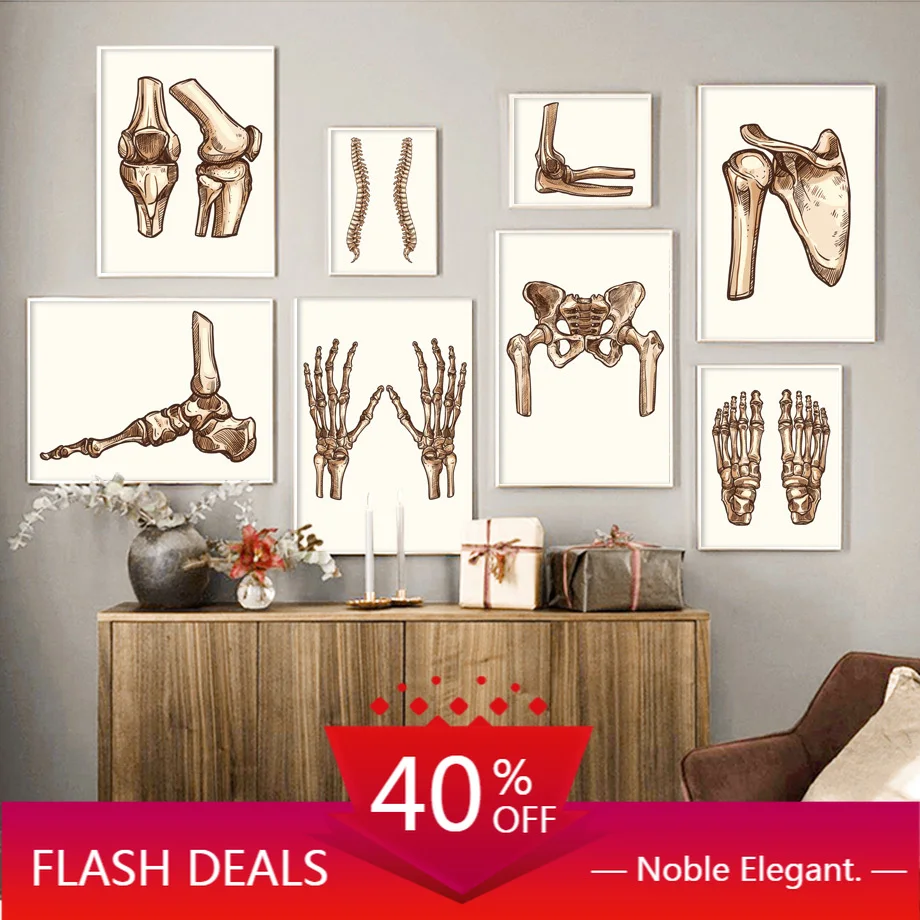 Картина на холсте легкие палец Череп костные суставы Анатомия человека