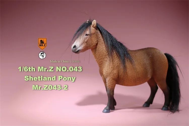 MR. Z животных модель MRZ043 1/6 Shetland с рисунком Пони для Модель аксессуар все 5 видов