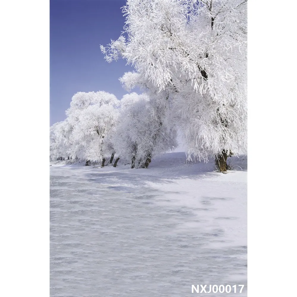 NXJ00017 Laeacco Fantasy зима снег сосны живописные Детские фотографии фоны Индивидуальные фотографии для фотостудии - Цвет: NXJ00017