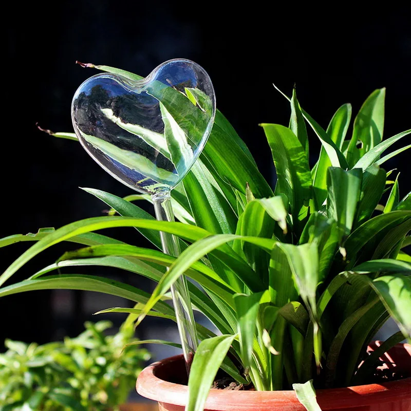 8 Kinds Of Glass Flowers Water Plants Automatic Feeder Auto Watering Devices Bird Star Heart Design Flora Waterer | Дом и сад