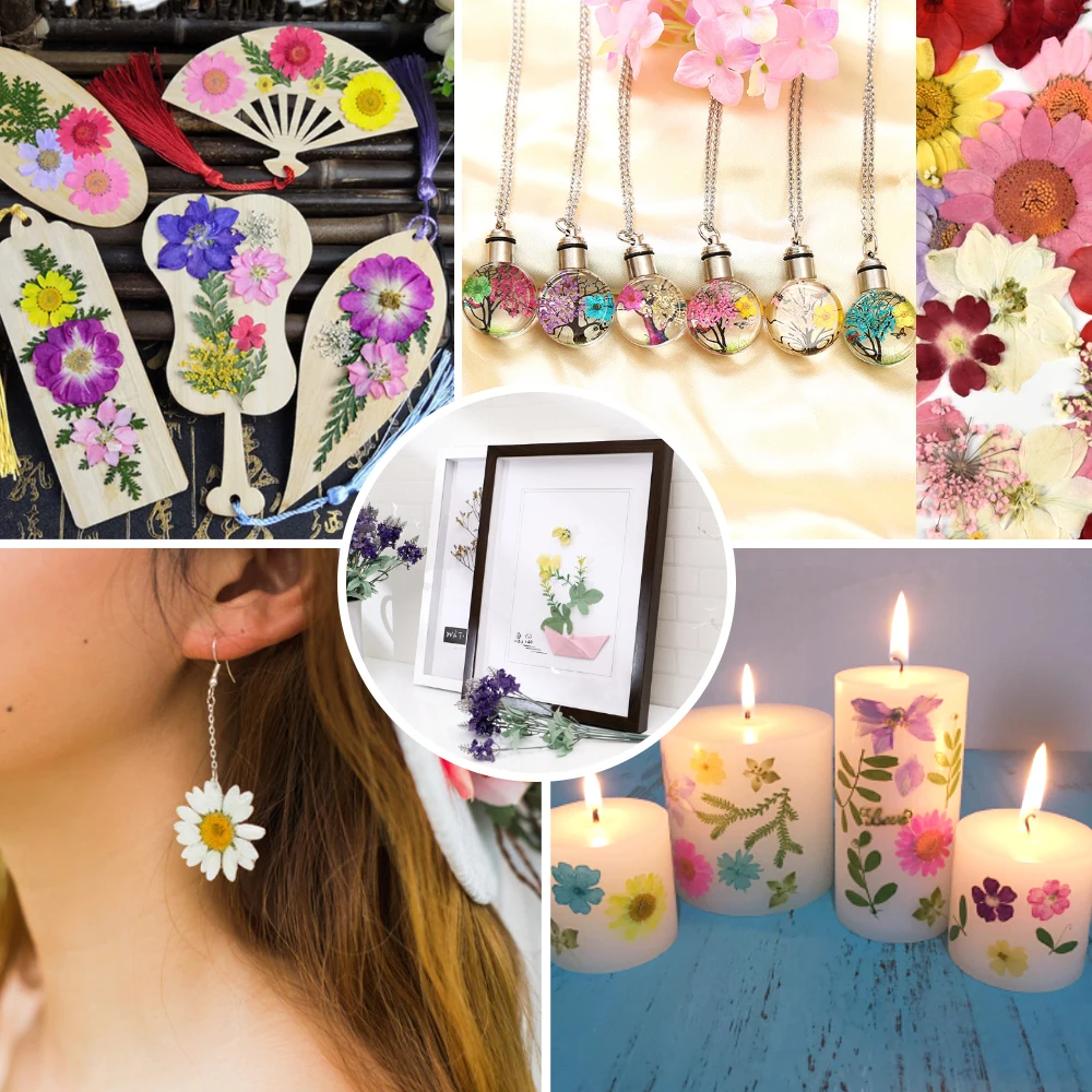 

Real Dried Pressed Flowers Mixed Natural Floral For Scrapbooking DIY Candle Resin Jewelry Pendant Crafts Nail Art Pressed Flower