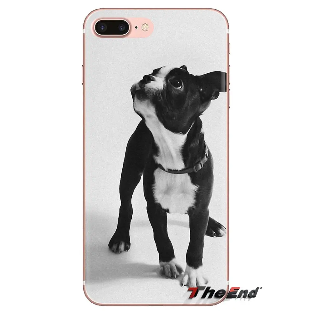 Бостон-терьер с изображением щенков милые носки для iPhone XS Max XR X 4 4S 5 5S 5C SE 6 6S 7 8 плюс