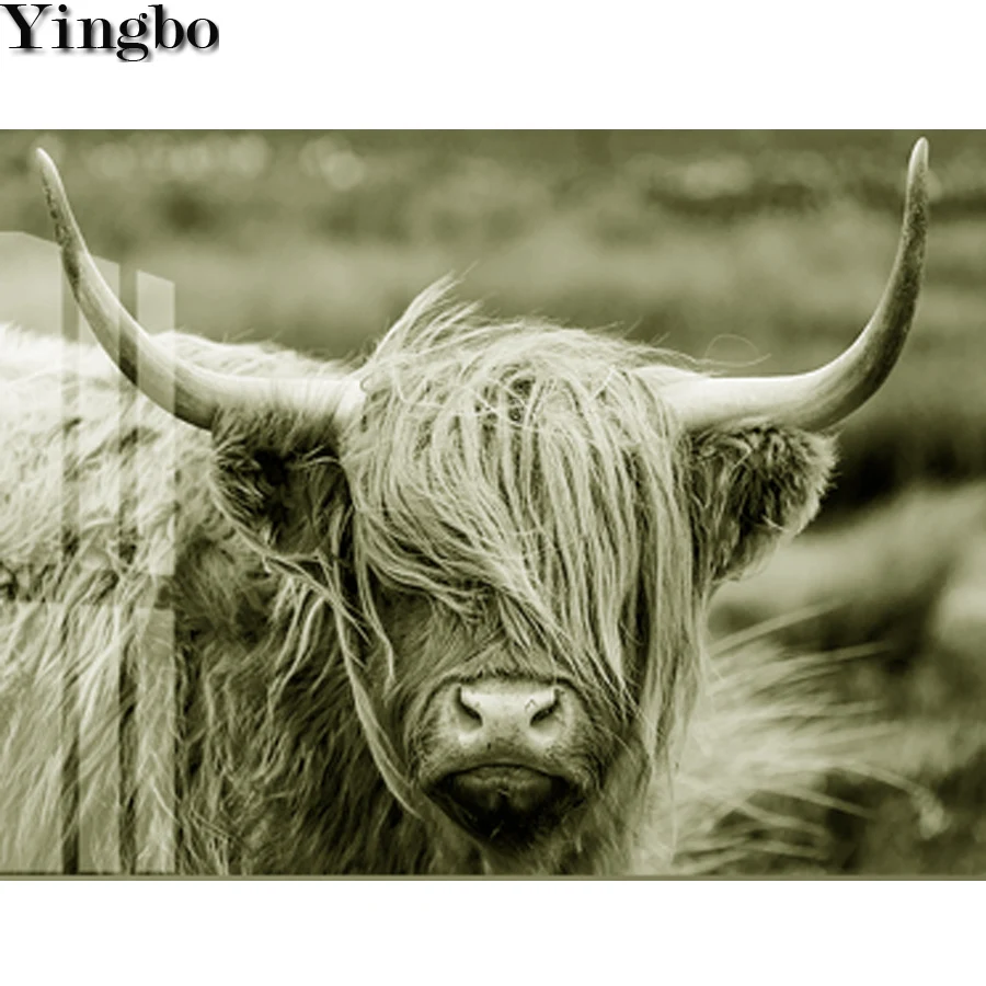 5D алмазная картина Шотландия highland скот Животное Алмазная вышивка значок